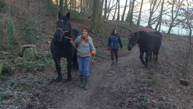 9. Sep. 2025:  Klosterhofs After Work Walk - die Wanderung