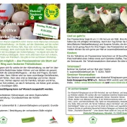 11. Oktober 2026: PraxisSeminar "Einführung in die - ökologische - Hühnerhaltung"